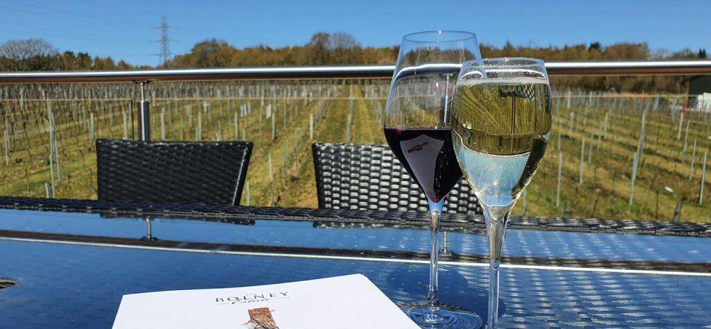 Sampling wine at the Bolney Wine Estate English vineyard