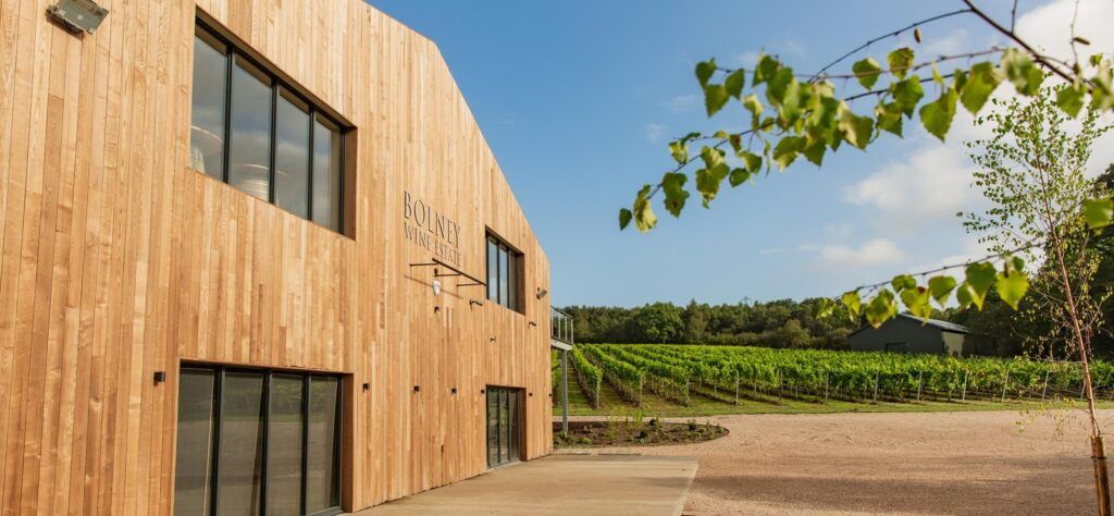 The Bolney Wine Estate English vineyard