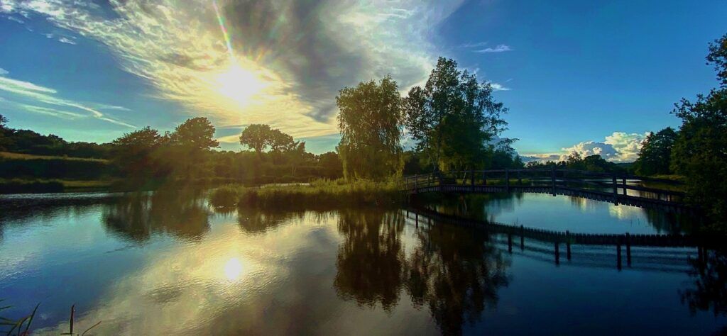 Lakedown Farm