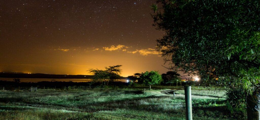 Kenya Safari