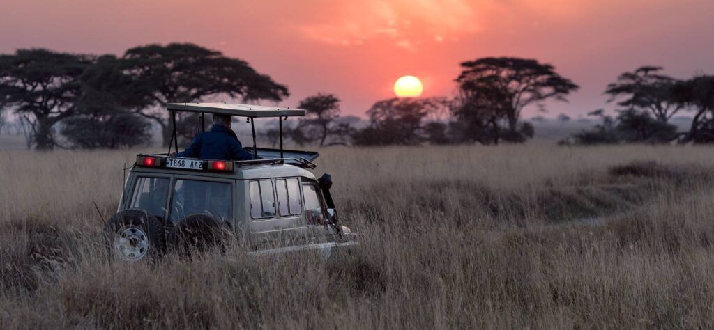 Kenya Safari