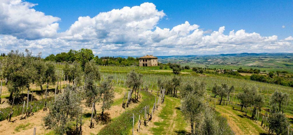 Brunello di Montalcino