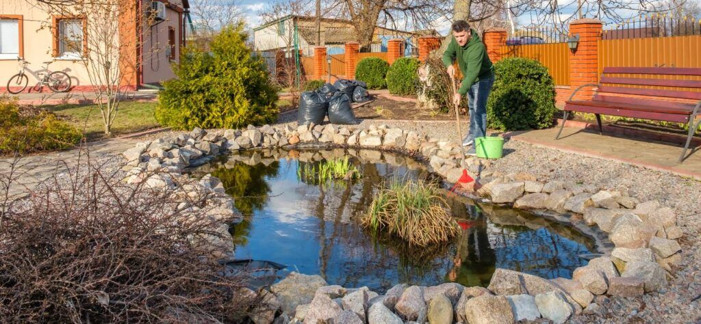 Add a pond in a garden overhaul
