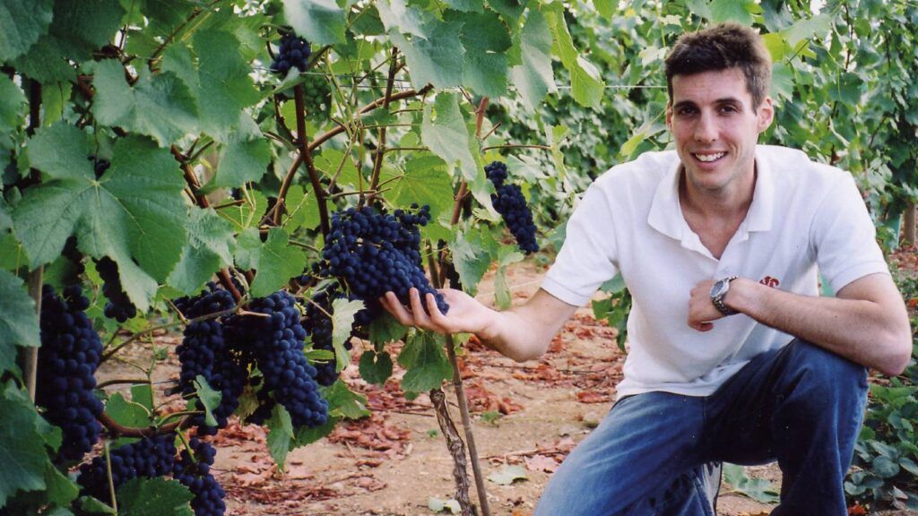 English wine with Sam at Camel Valley