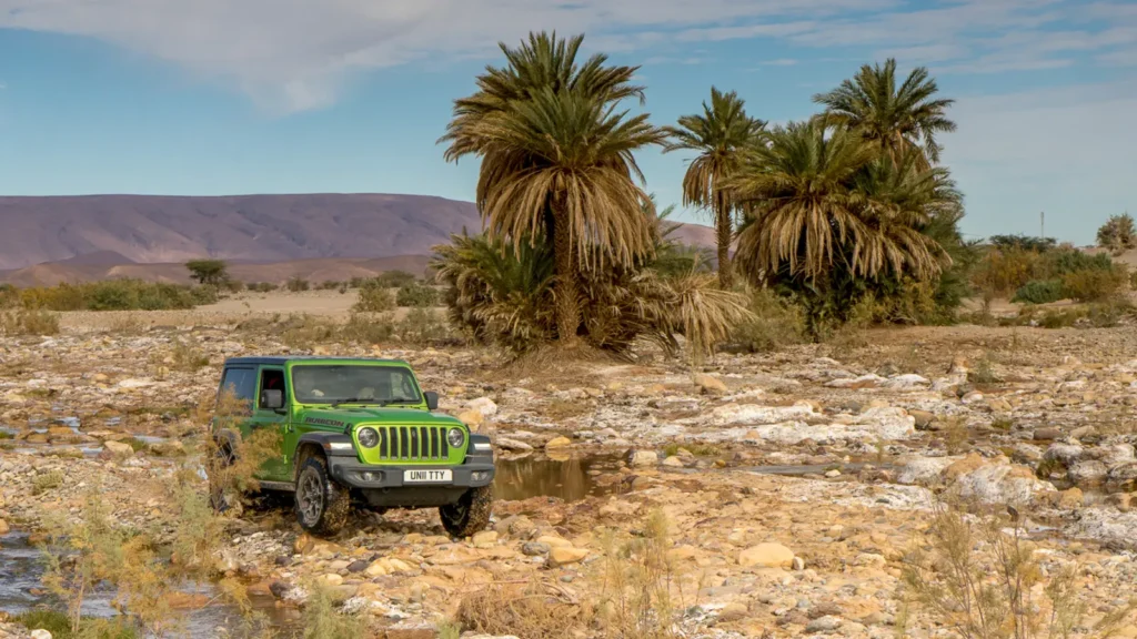 Jeep Wrangler Rubicon in a Sahara oasis